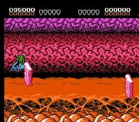 Battletoads sur Nintendo Nes